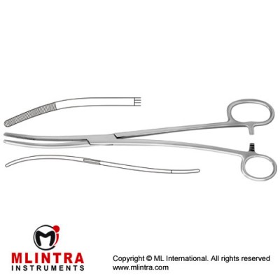 Bozemann-Douglas Sponge Holding Forcep Curved S Shaped - One Large Ring Stainless Steel, 26 cm - 10 1/4" Bozemann-Douglas Sponge Holding Forcep Curved S Shaped - One Large Ring Stainless Steel, 26 cm - 10 1/4"